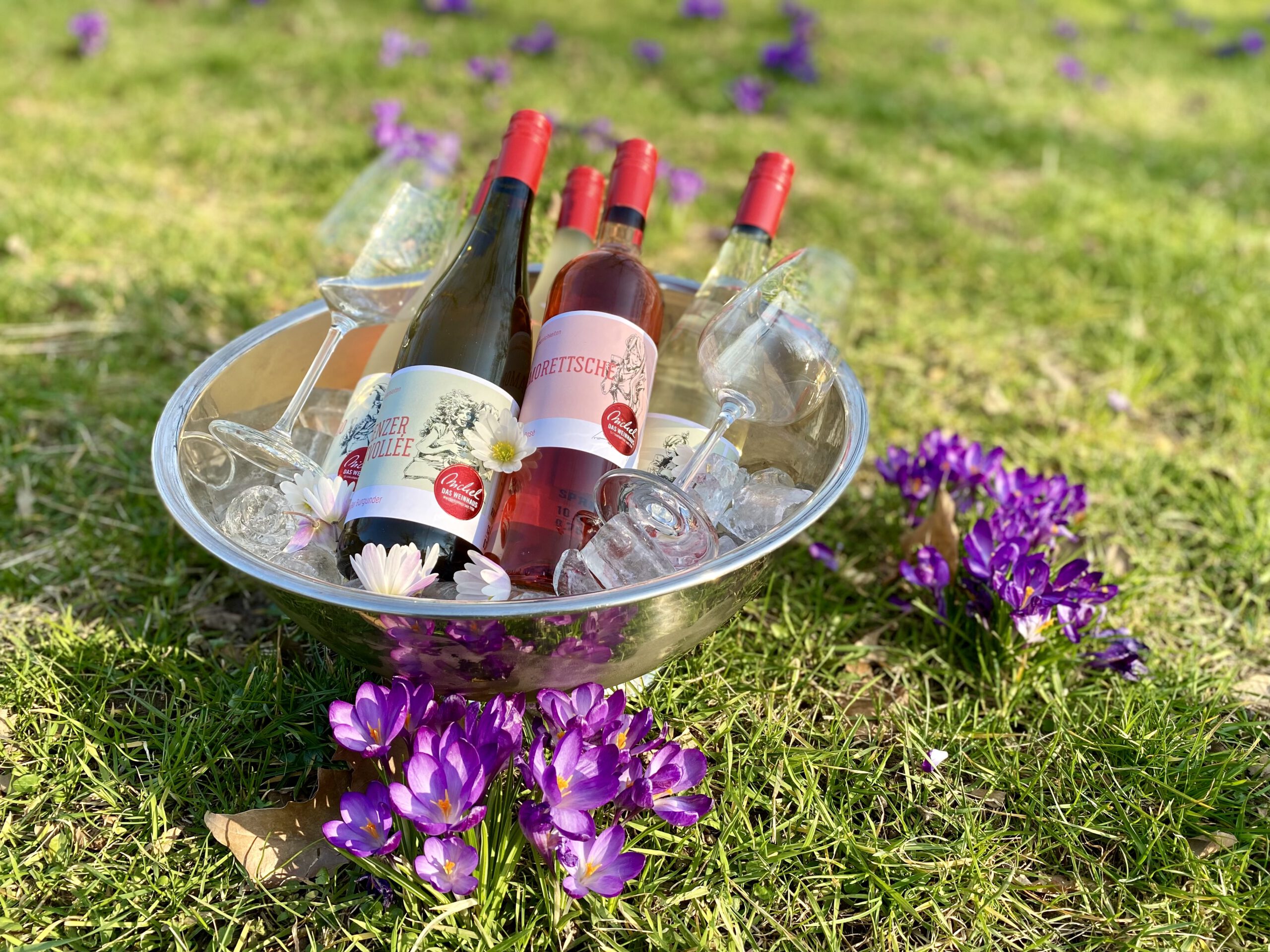 fruchtige Weine aus eigenem Weingut in Rheinhessen